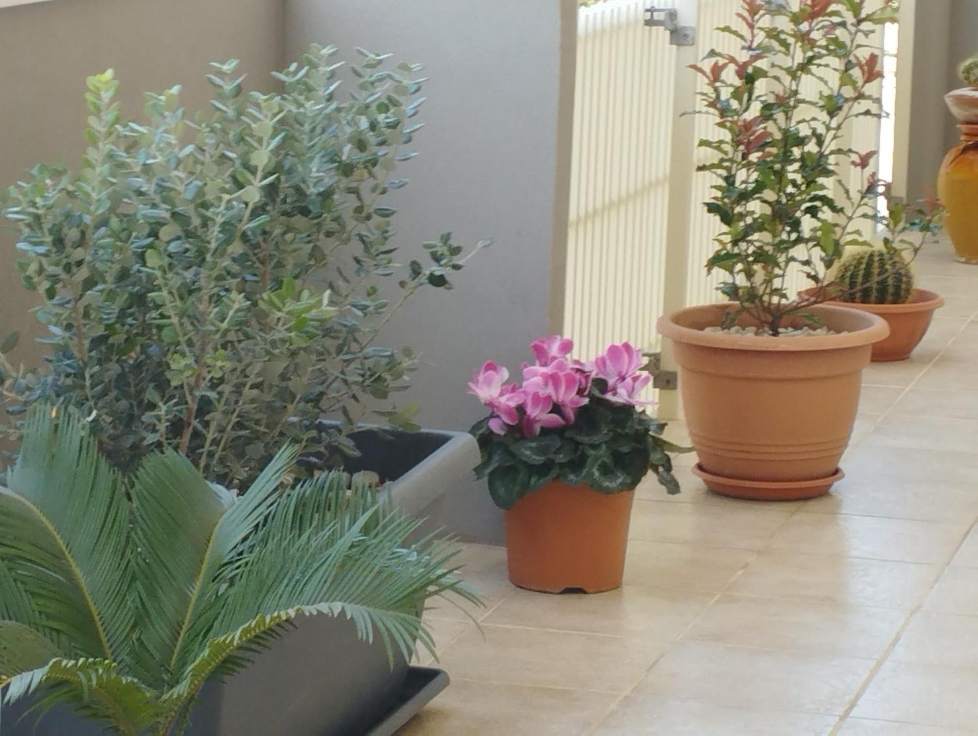Da Luigi Locazioni Brevi Turistiche Bed & Breakfast Monopoli Room photo